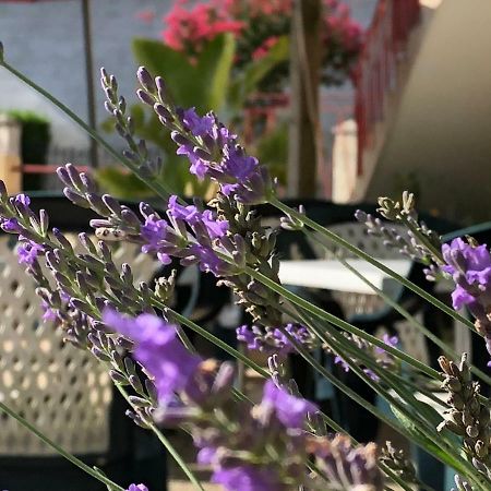L' Auberge Campagnarde, Lourdes Poueyferré Kültér fotó