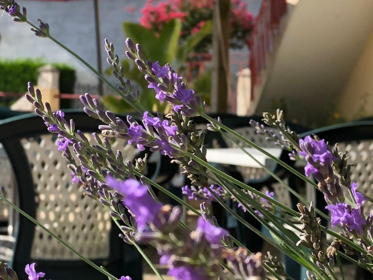 L' Auberge Campagnarde, Lourdes Poueyferré Kültér fotó